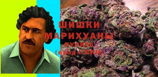 прущий лед Бежецк