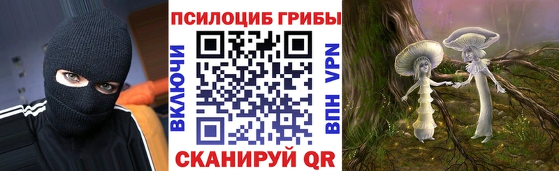 купить Белоусово нарко площадка формула Псилоцибиновые грибы прущие грибы