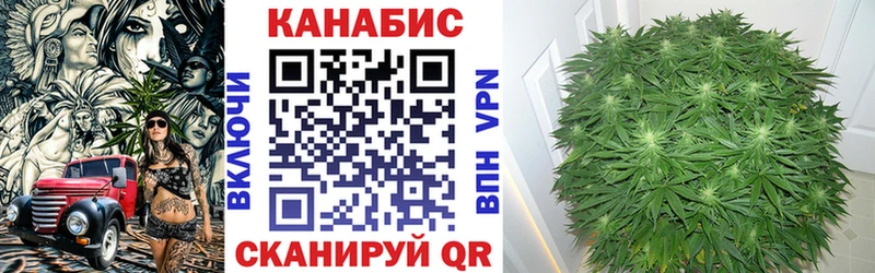 закладки  Белоусово  Шишки марихуана индика 